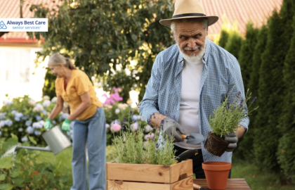 Allergy‑Smart Spring Cleaning: Creating a Safer, Healthier Home for Seniors in SW Calgary