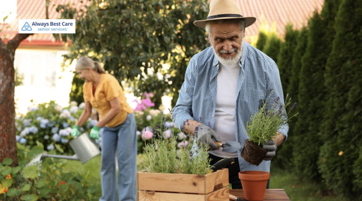 Allergy‑Smart Spring Cleaning: Creating a Safer, Healthier Home for Seniors in SW Calgary