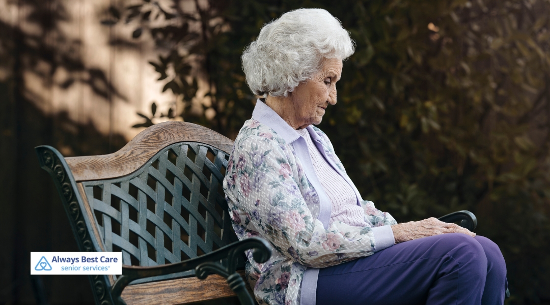 Enhancing Dementia Care in Kitchener: The AlzBetter Program by Always Best Care