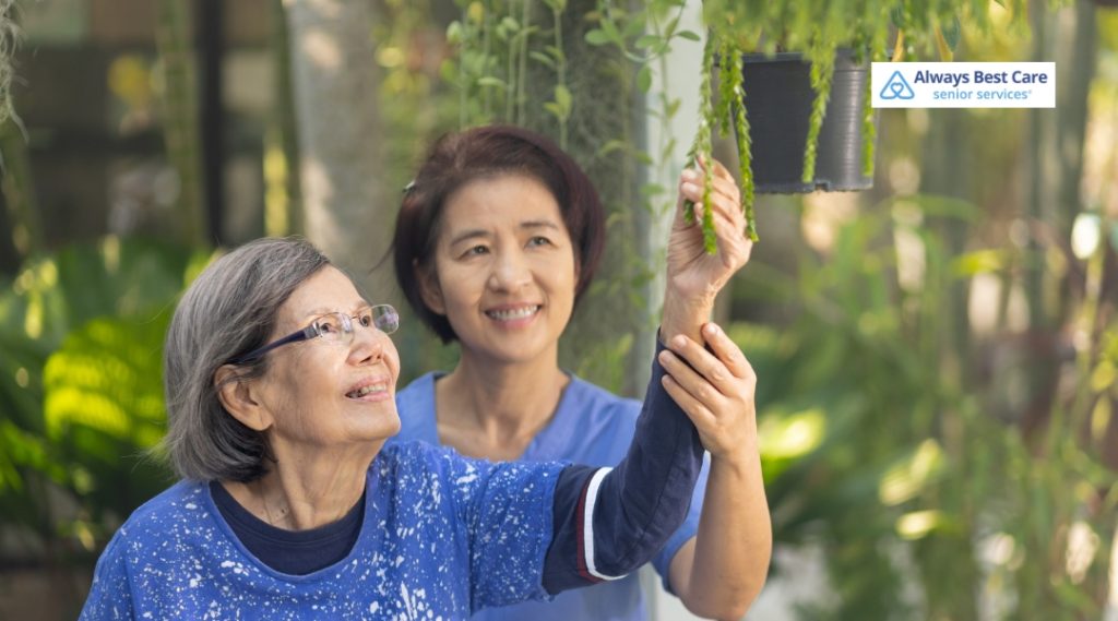 Senior woman and female caregiver enjoying a gardening activity together, reaching for hanging plants, representing enriching senior hobbies and companionship.