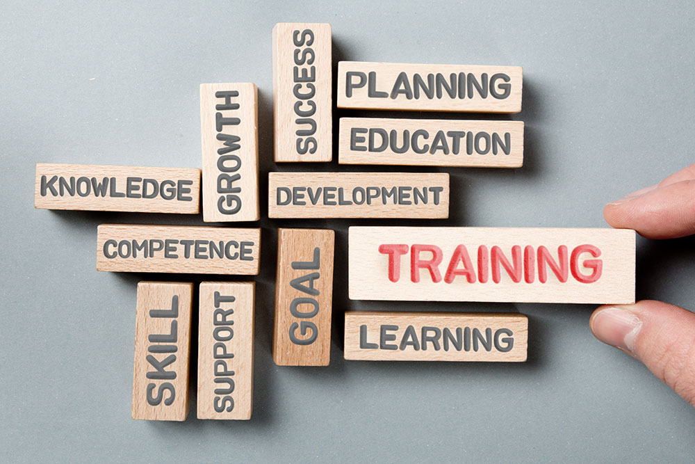Comprehensive Training and Support